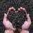 Sunflower seeds