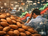 Almond Prices Ease in India as Buyers Push Back Against High Levels