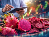 Vietnam Dried Red Dragon Fruit Holds Firm Despite Fresh Price Slump