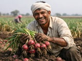 Maharashtra onion price slump: local crisis, global signals