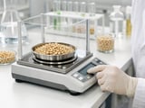 China Pine Nuts Hold Steady as New-Crop Outlook Improves