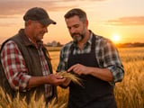 Barley Market Softens as Feed Grain Supply Builds and Futures Ease