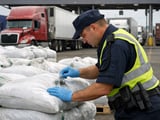 New Export Restrictions on Fertilizers and Agri-Inputs Tighten Global Supply, Reshape Trade Flows