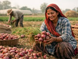 Onion Rally Cools in Ghazipur as Arrivals Improve Ahead of Festivals