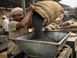 Black Gram Rally Extends on Tight Kharif Sowing and Costly Imports