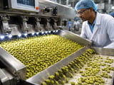 Indian Cardamom Edges Higher as New-Crop Auctions Stay Firm