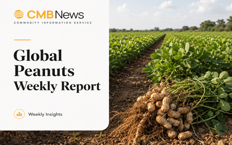 Peanut Market Split: US Weakness, Argentine Tightness, Brazil Cuts, India Disrupted
