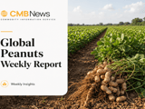 Peanut Market Split: US Weakness, Argentine Tightness, Brazil Cuts, India Disrupted
