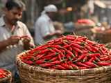 Indian Chilli Market Softens as Exporters Grapple With Residue Concerns