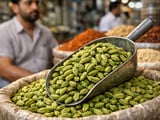 Cardamom Market Drifts Sideways as Buyers Stay Cautious in June