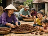 Vietnam Star Anise FOB Hanoi Steady as El Niño Risks Loom