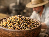 Mustard Seed Market Soft as Oil Mill Demand Stays Subdued