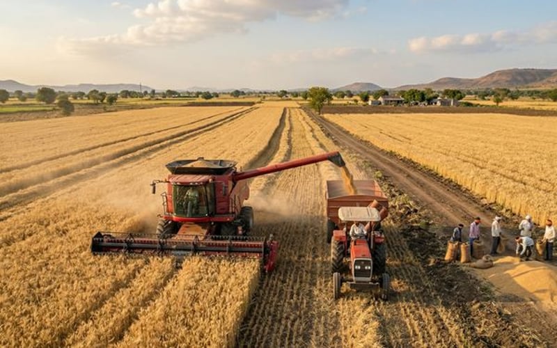Saudi Arabia Reshapes Grain Import and Food Security Policy as SALIC Prepares to Take Over Wheat Purchasing