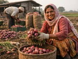 Indian Onion Prices Rebound: Lasalgaon Strength Supports Dehydrated Market