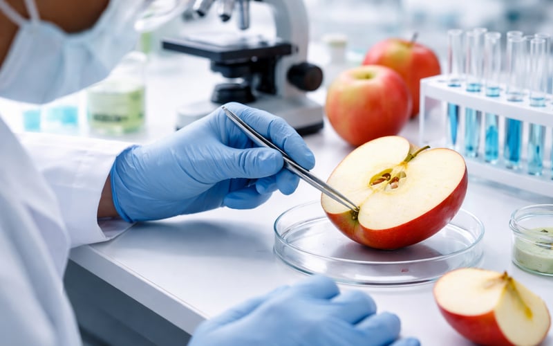 Turkish Apples Move Into the Gap in India’s Import Market
