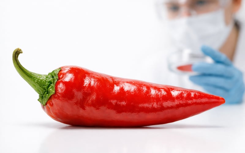 La loi CHILE renforce le filet de sécurité pour le piment du Nouveau-Mexique alors que les prix mondiaux s’assouplissent