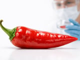 La loi CHILE renforce le filet de sécurité pour le piment du Nouveau-Mexique alors que les prix mondiaux s’assouplissent