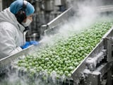 Flat Pea Prices as UK Weather Stabilises and Ukraine Remains Well Supplied