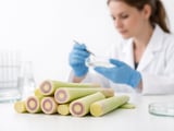 Egyptian Lemongrass Firms as Lebanese Exporters Recalibrate Gulf Strategy