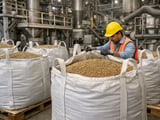 Les prix de la gomme de guar restent stables alors que les semis retardés par la mousson limitent le potentiel haussier