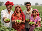 Guar Gum Holds Firm as Monsoon Risk Lifts Indian Premium Over Vietnam