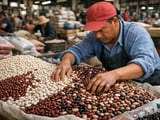 Chinese Bean FOB Prices Softly Mixed as Logistics Costs Climb