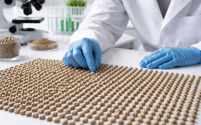 Hempseed Prices Hold Firm as EU Eyes Chinese Protein Imports