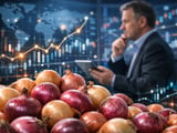 Stable Onion FOB Prices as India Boosts Procurement and Egypt Stays Firm