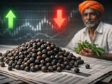 Indian Crop Stress and Farmer Holding Put a Floor Under Pepper Prices