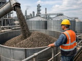 Ukraine Sunflower Market: Season-High Oil, But July Pressure Building