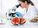 Stable Dried Fig Prices as Turkish and Spanish Supply Enter Summer Lull