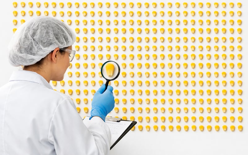 سوق الذرة يجد أرضية دعم مع تشديد التوازن بسبب مخاطر الطقس والبحر الأسود