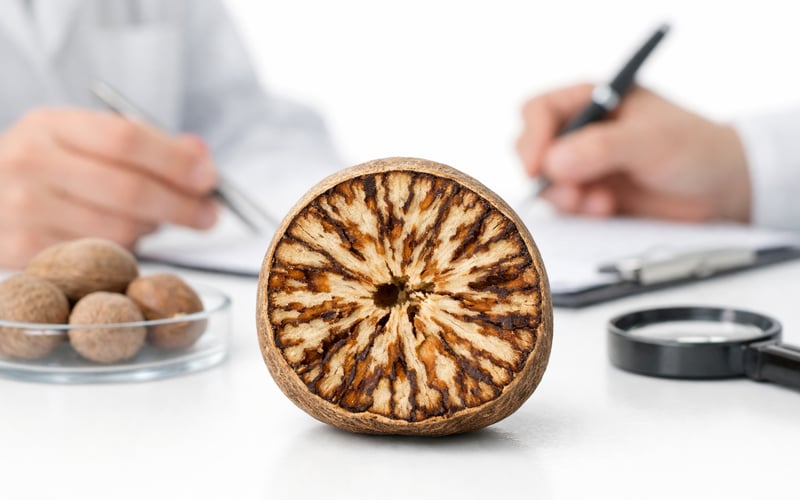 Indian Nutmeg Steady as Higher Arrivals Cap Upside