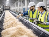 Sugar market steadies as India enters festival demand peak