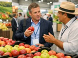 EU Apples Target Colombia as New Growth Market While Prices Stay Flat in Europe