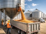 Lentils: Firm Demand Meets Comfortable Imports, Capping Upside