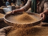Indian Coriander Seed FOB Values Edge Higher on Firm Domestic Mandis