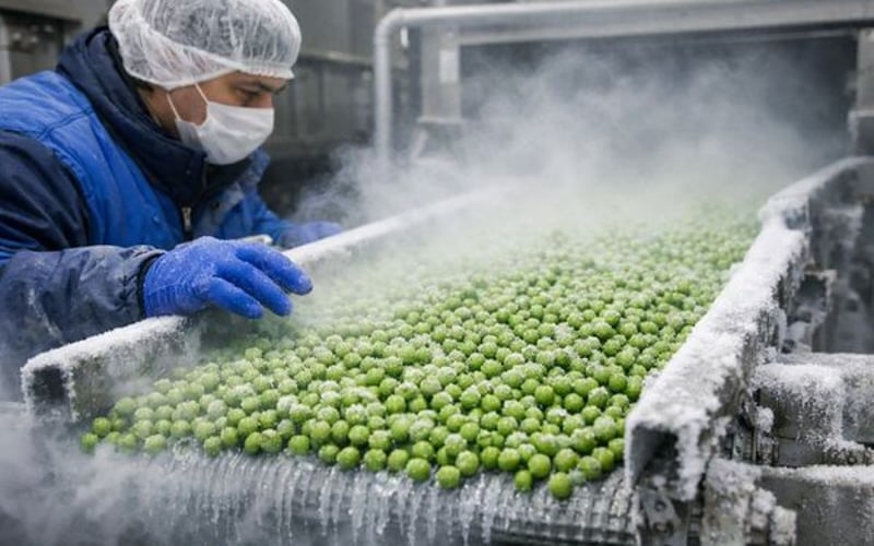 印度鸽豆面临压力，而欧洲豌豆价格保持稳定