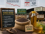 India’s Mustard Market Braces for NAFED Auctions and Palm Oil Signals