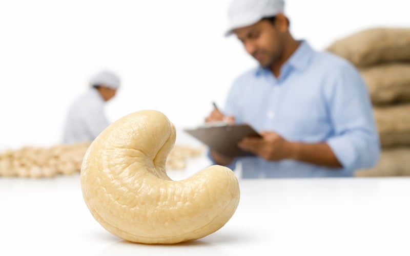 Cashew Market Firms on Improving Demand and Limited Selling