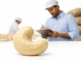 Cashew Market Firms on Improving Demand and Limited Selling