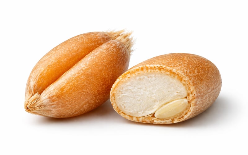 German triticale holds steady as feed grain complex stays firm