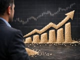 Sesame market holds firm as India leads gains and Brazil crop shrinks