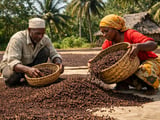 Clove Market Steady in New Delhi as Demand Stays Subdued