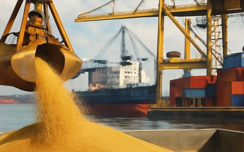 Ukrainische Hirsepreise bleiben stabil, während die Exportlogistik fragil bleibt