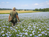 Ukraine Flaxseed Edges Lower as Weather Stays Supportive but Demand Soft