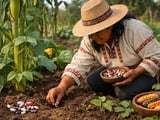 Brazil–UK Beans: Softening FOB in Brasília, Firmer Whites in London