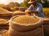 India’s Soybean Imports Surge as Domestic Crop Shrinks