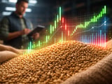 Feed Barley Steady on SFE While European Cash Market Softens