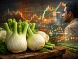 Indian fennel prices steady as slow monsoon caps near‑term downside